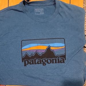 Patagonia Teal Mountain Graphic Tee